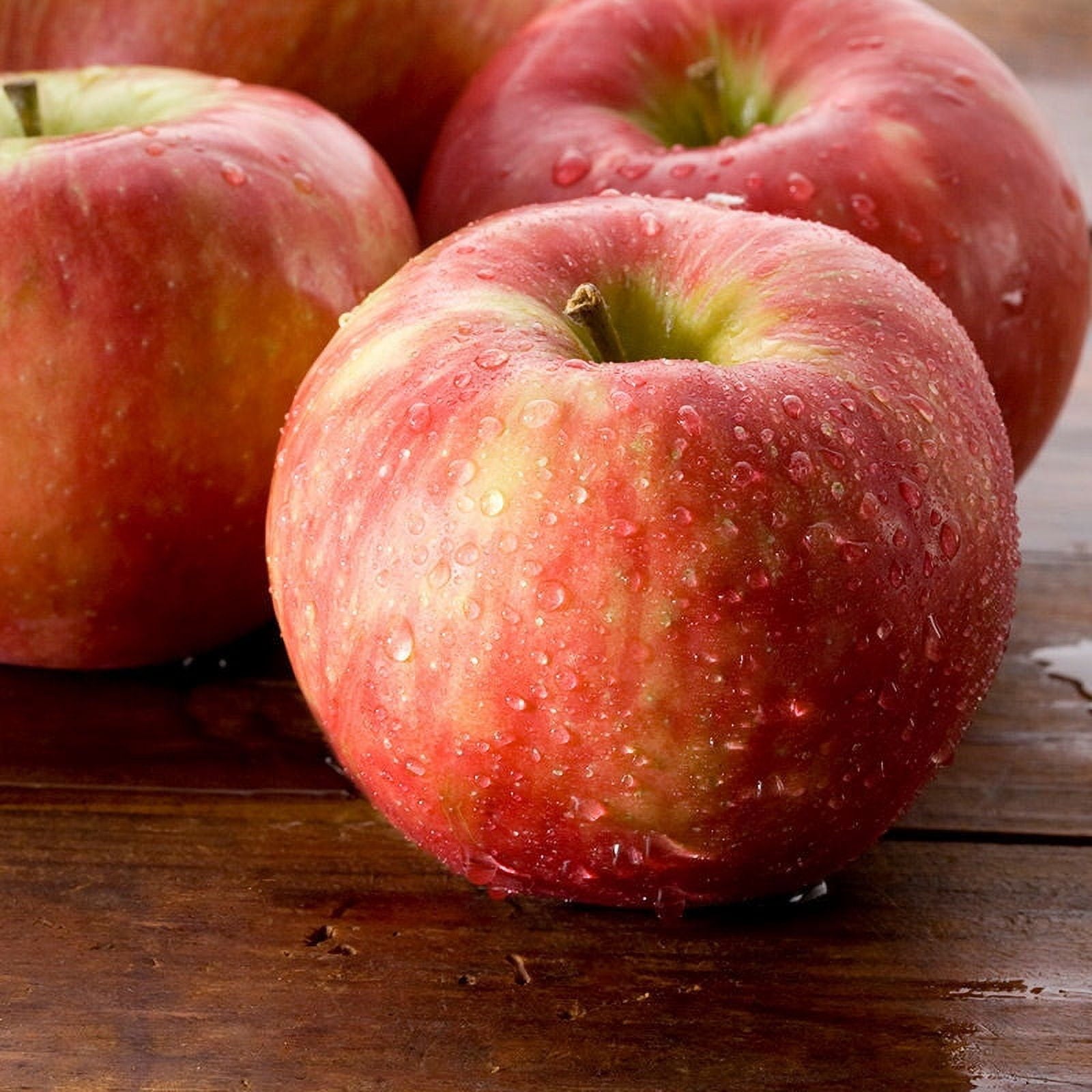 Fresh Gala Apple Each