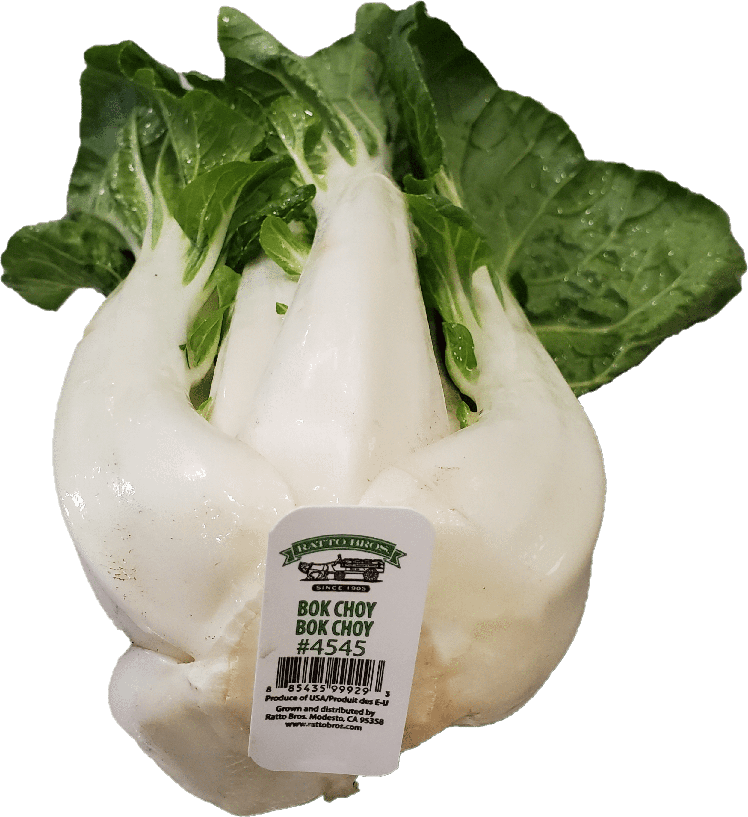 Fresh Whole Bok Choy Each