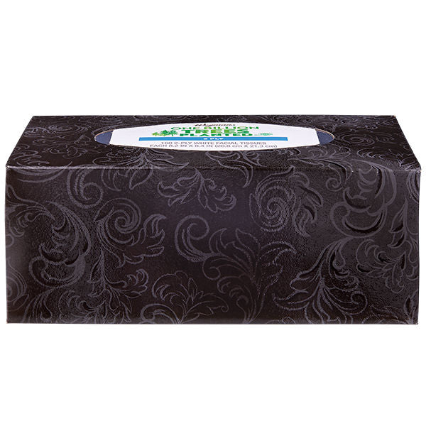 Wegmans 2-Ply White Facial Tissues 160 Count