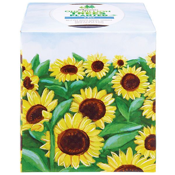 Wegmans White Facial Tissues 1 Cube 80 Count 2-Ply