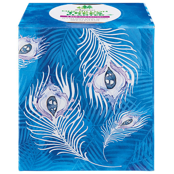 Wegmans White Facial Tissues 3 Ply 75 Count