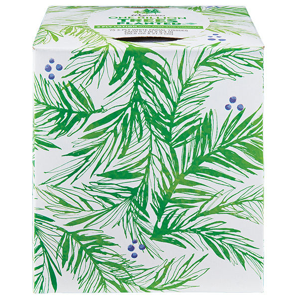 Wegmans White Facial Tissues With Lotion 3-Ply 75 Count