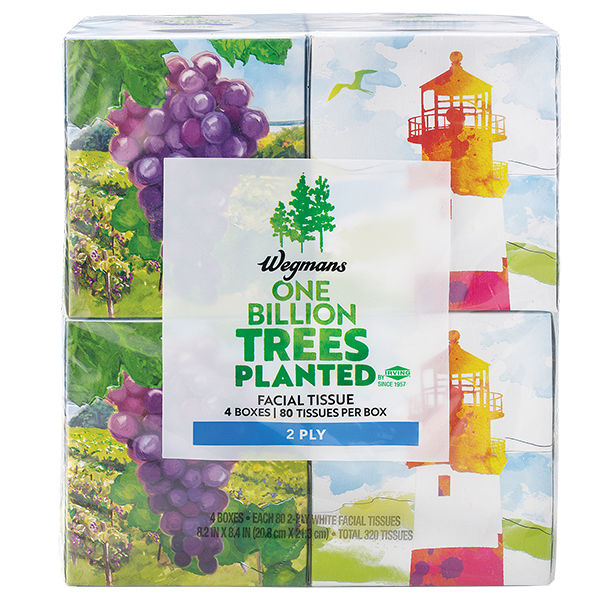 Wegmans White Facial Tissues 4 Cubes 80 Ct Each