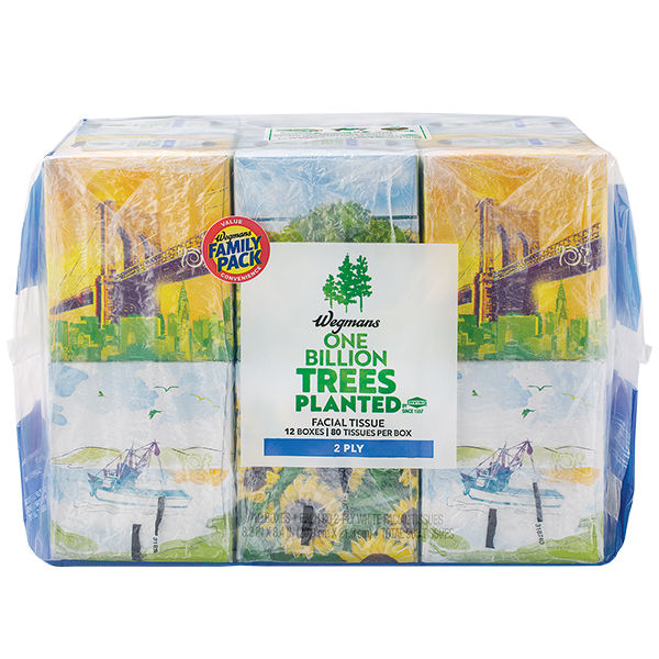 Wegmans White Facial Tissues 12 Cubes Family Pack 960 Count