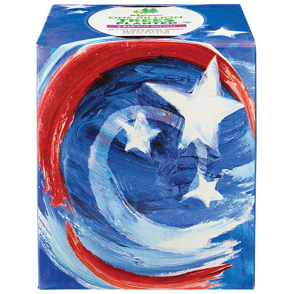 Wegmans White Facial Tissues Patriotic Swirl Design 65 Count