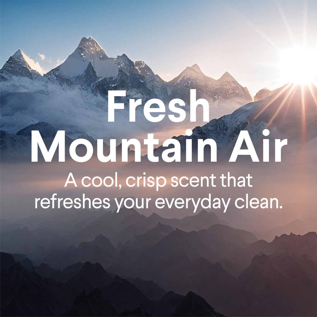 Clorox All Purpose Cleaner Bleach Free Fresh Mountain Air 32 fl oz