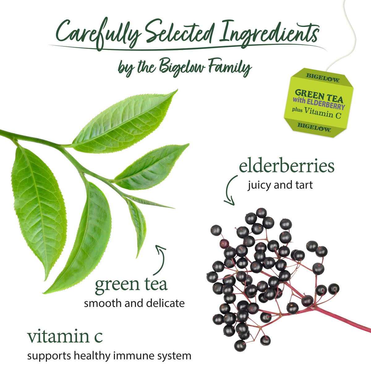 Bigelow Tea Green Tea with Elderberry Plus Vitamin C Bags 18 Count