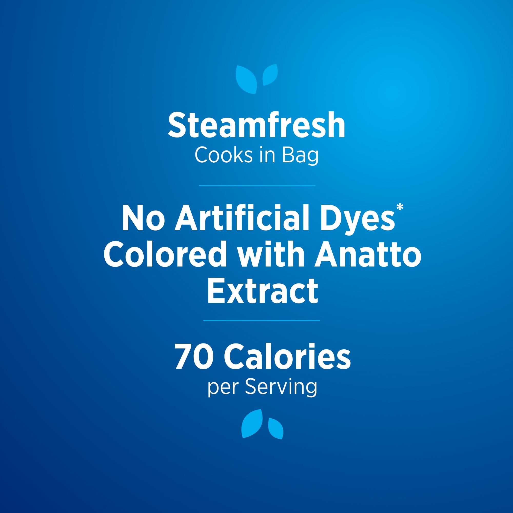 Birds Eye Steamfresh Sauced Cheesy Broccoli Frozen Vegetables 10.8 Oz
