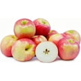 Fresh Pink Lady Apples Each