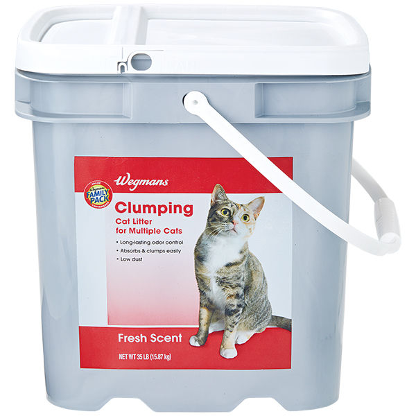 Wegmans Fresh Scent Clumping Cat Litter Multiple Cats Family Pack