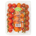 Wegmans Organic Cherry Tomatoes Medley on the Vine 1 Bunch