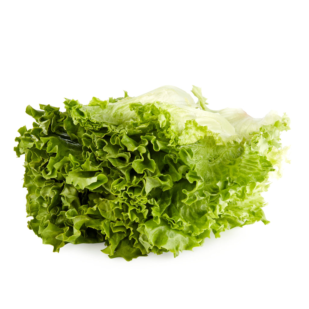 Green Leaf Lettuce Filet 7 Oz