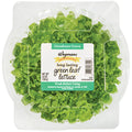 Wegmans Green Leaf Lettuce 1 Head