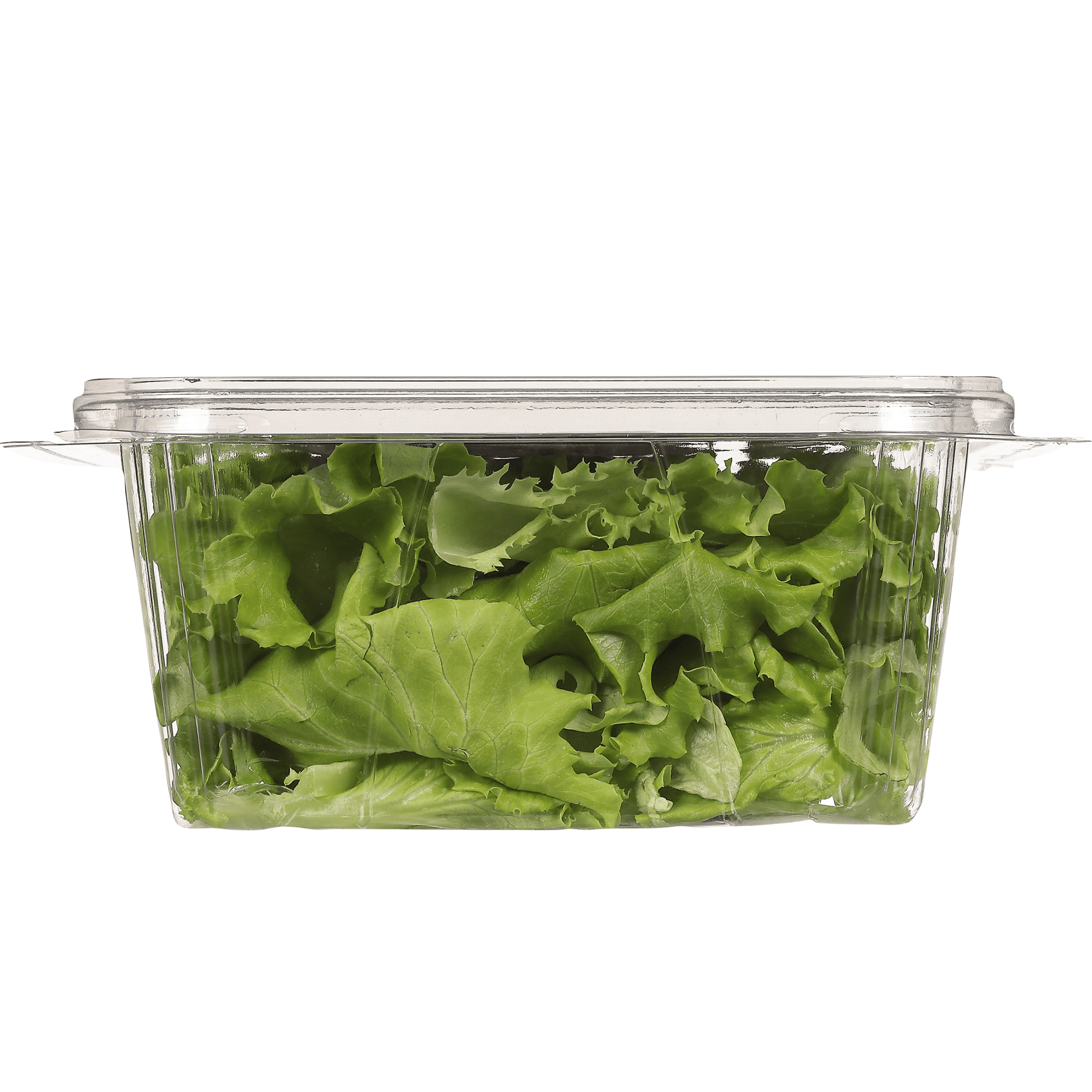 Fresh Little Leaf Farms Sweet Baby Butter Leaf Lettuce 4 Oz Clam Shell