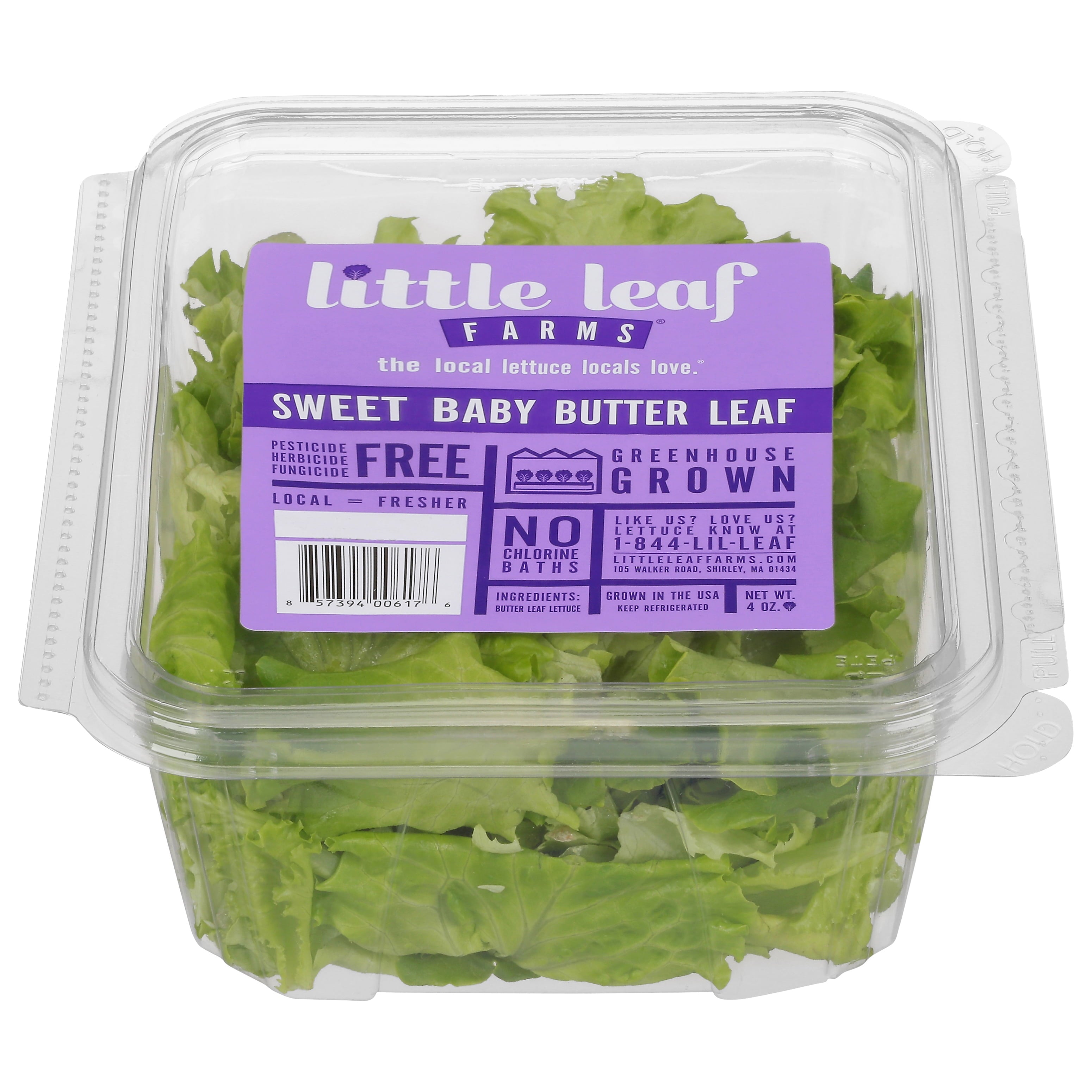Fresh Little Leaf Farms Sweet Baby Butter Leaf Lettuce 4 Oz Clam Shell