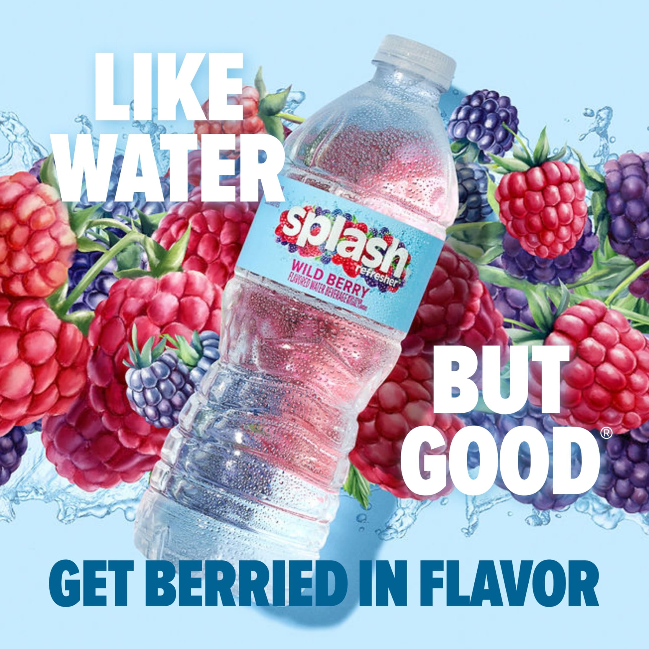 Splash Blast Wild Berry Flavored Water 16.9 fl oz Plastic Bottles 6 Pack