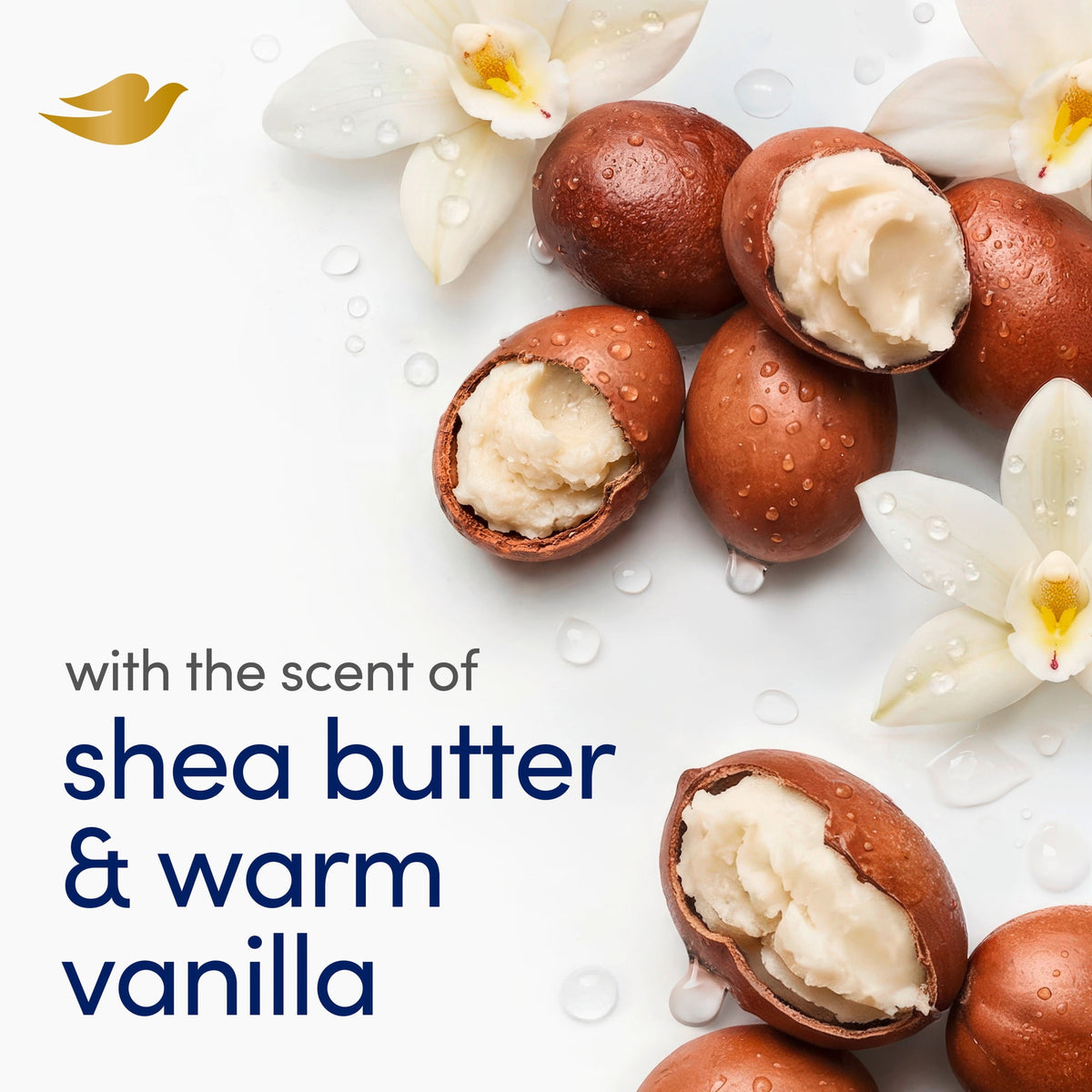 Dove Shea Butter Beauty Bar Soap Moisturizing 3.75 oz 8 Bars