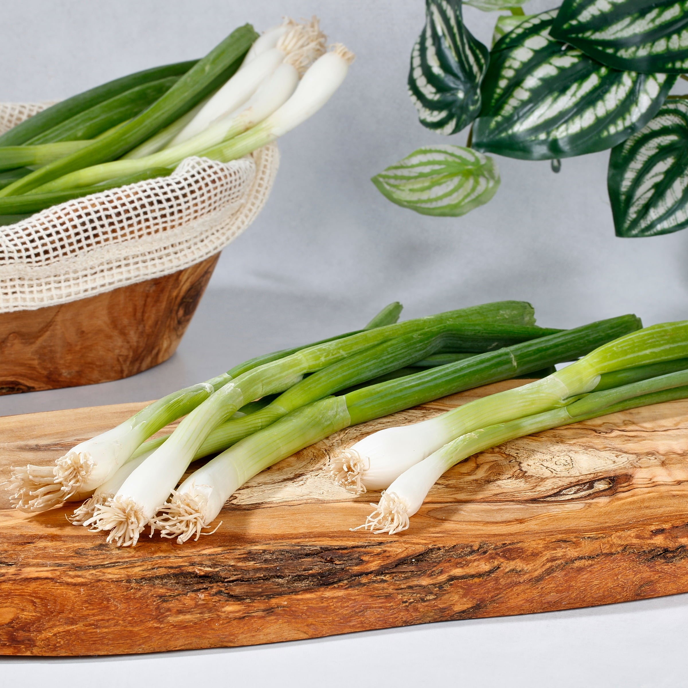Fresh Organic Green Onion Bunch 1 Count