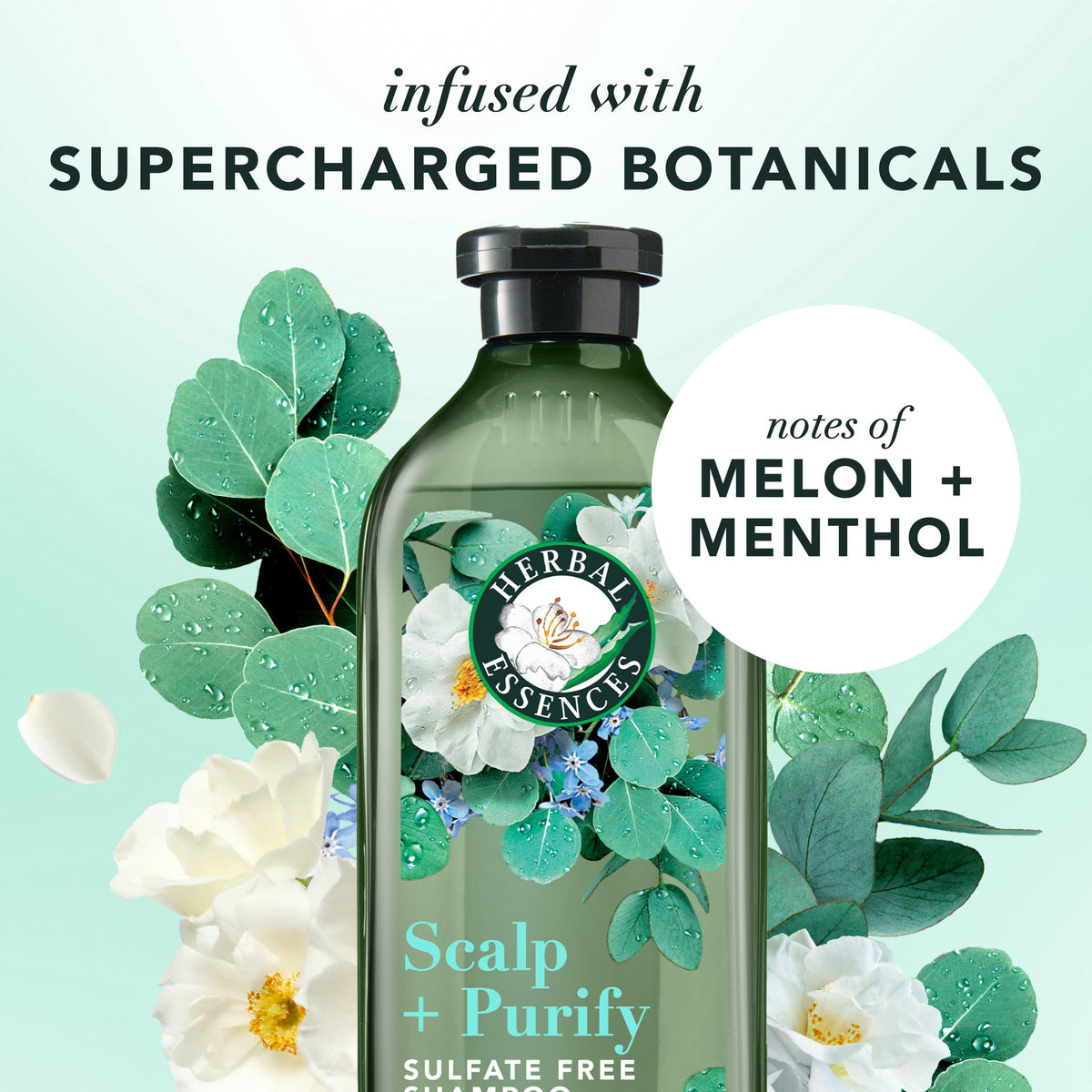Herbal Essences Scalp + Purify Eucalyptus Shampoo and Conditioner Dual Pack 13.5 fl oz Each