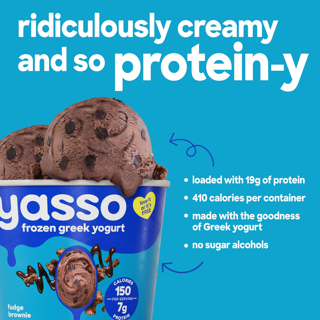 Yasso Fudge Brownie Frozen Greek Yogurt 14 Fl Oz
