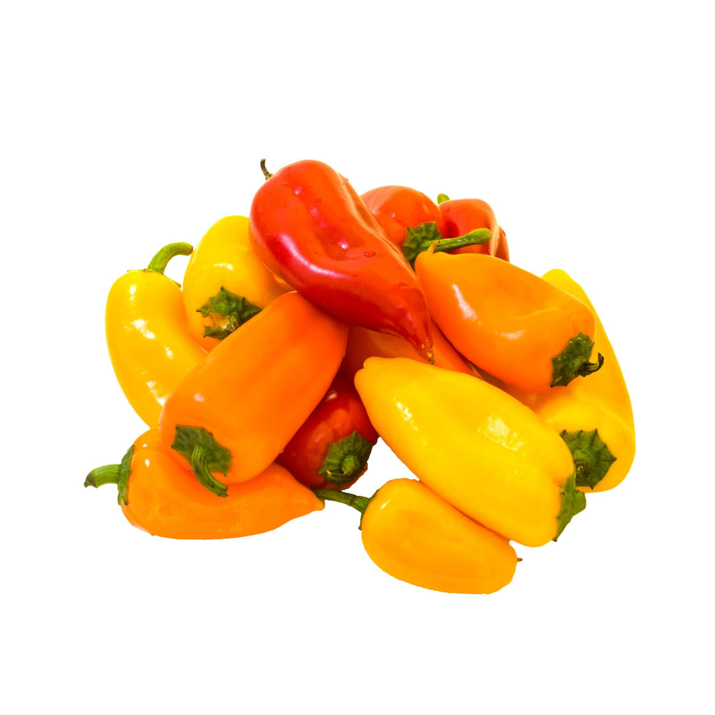 Fresh Mini Sweet Peppers 16 Oz Bag