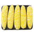 Wegmans Husked Sweet Corn 5 Count 24 Oz