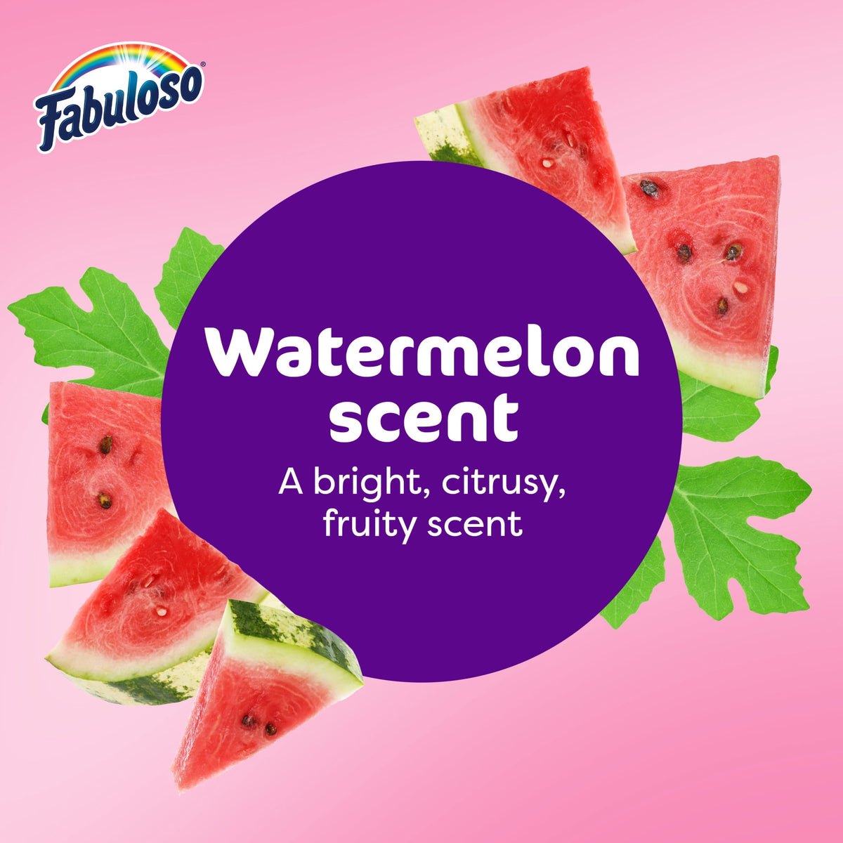 Fabuloso 2X Multi-Purpose Cleaner Watermelon Scent 56 fl oz