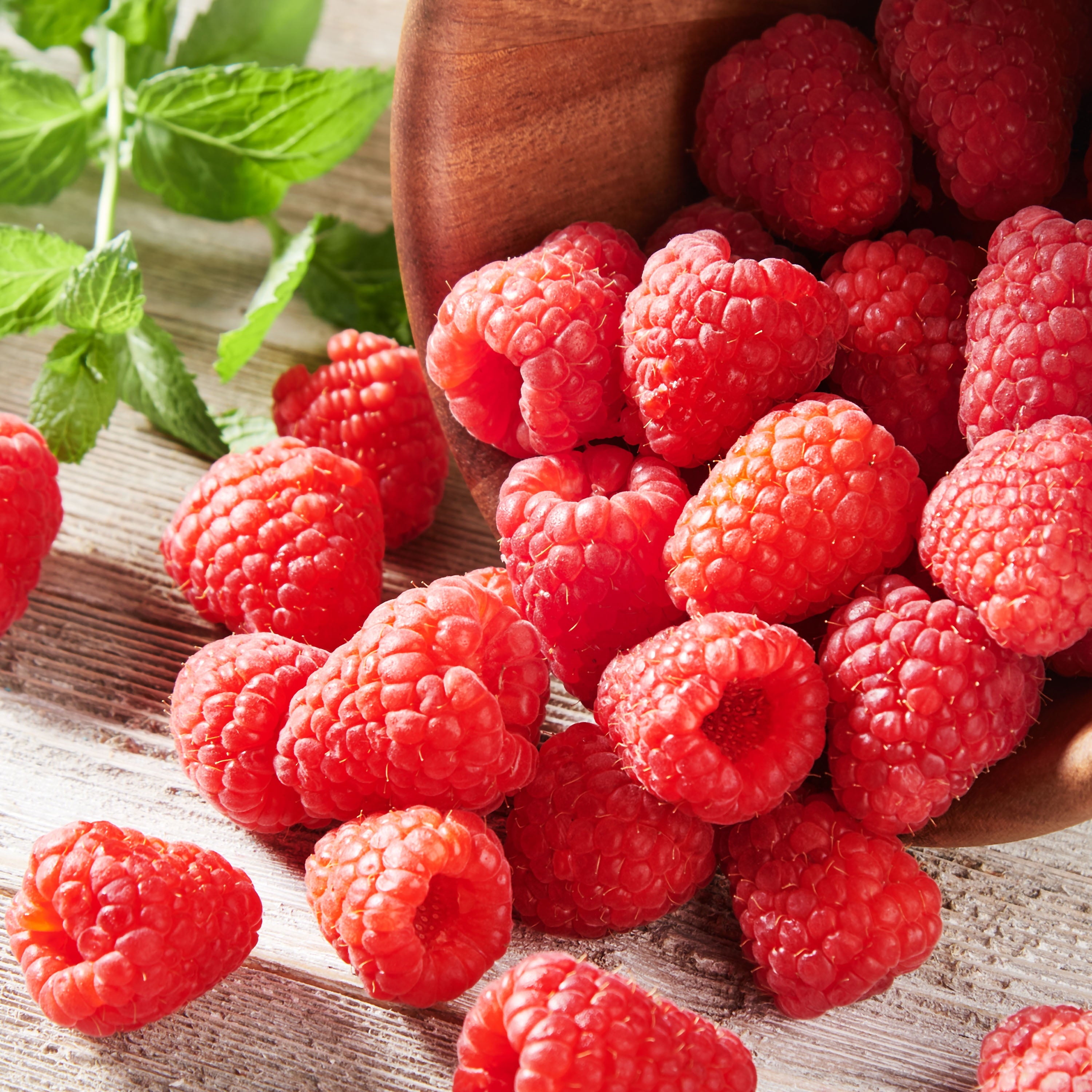 Fresh Raspberries 12 Oz Container
