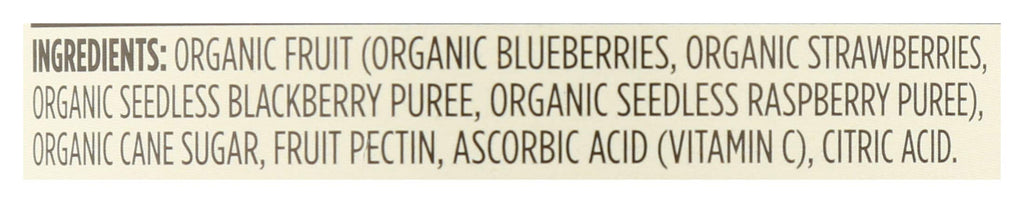 Organic Mixed Berry Fruit Spread 17 Oz 365 By Whole Foods Market