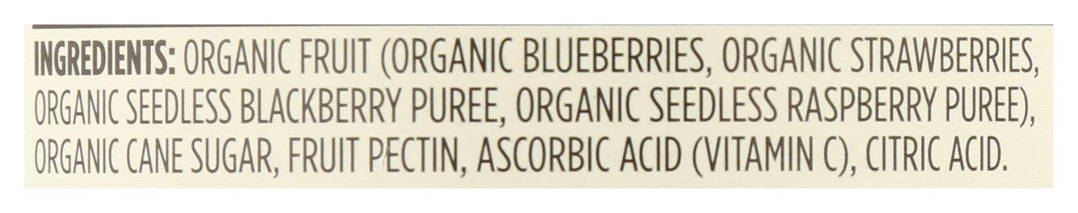 Organic Mixed Berry Fruit Spread 17 Oz 365 By Whole Foods Market