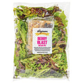 Wegmans Berry Blast Salad Kit 9.25 Oz