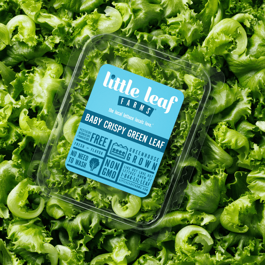 Baby Crispy Green Leaf Lettuce 8 Oz