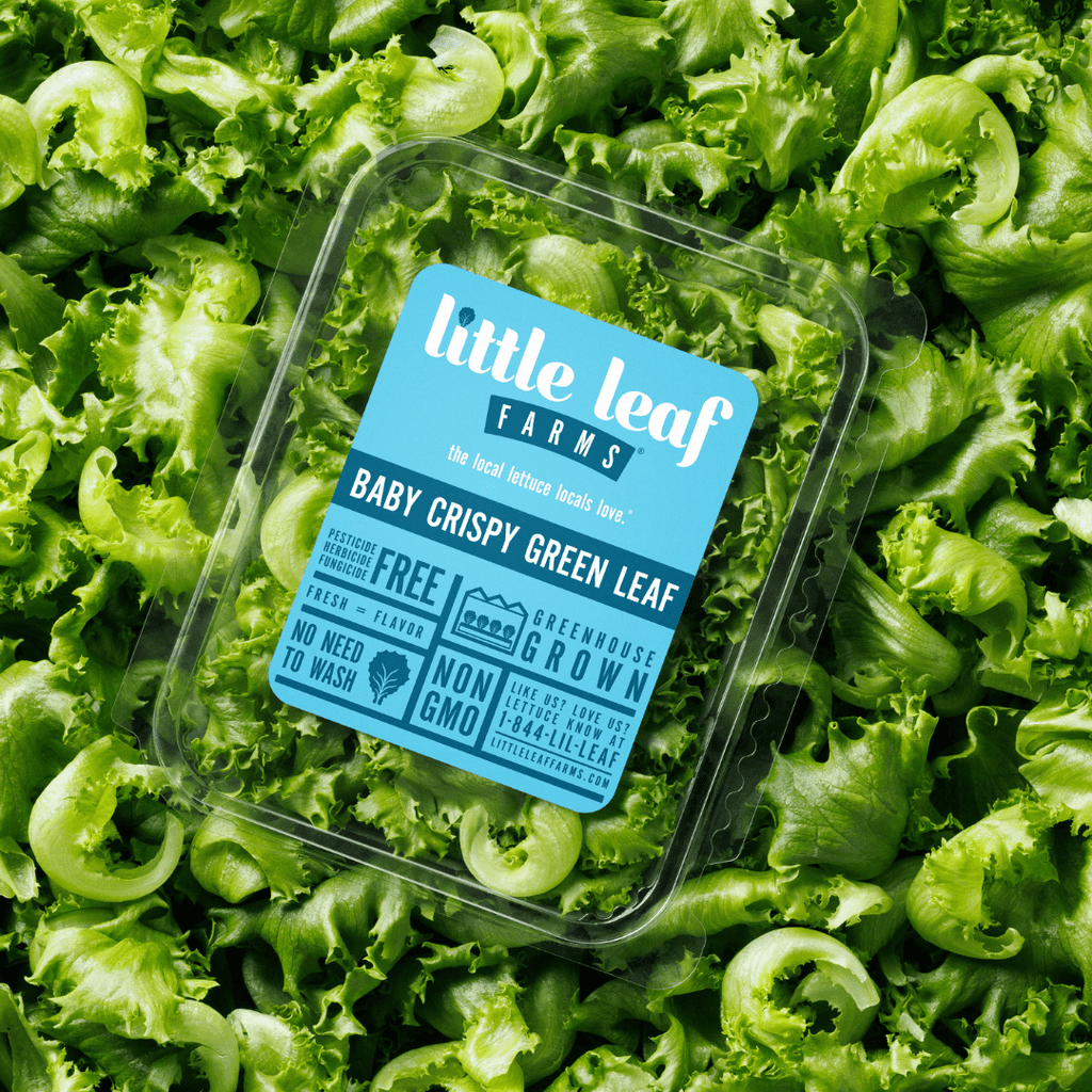 Little Leaf Farms Baby Crispy Green Leaf Salad 4 Oz Clam Shell