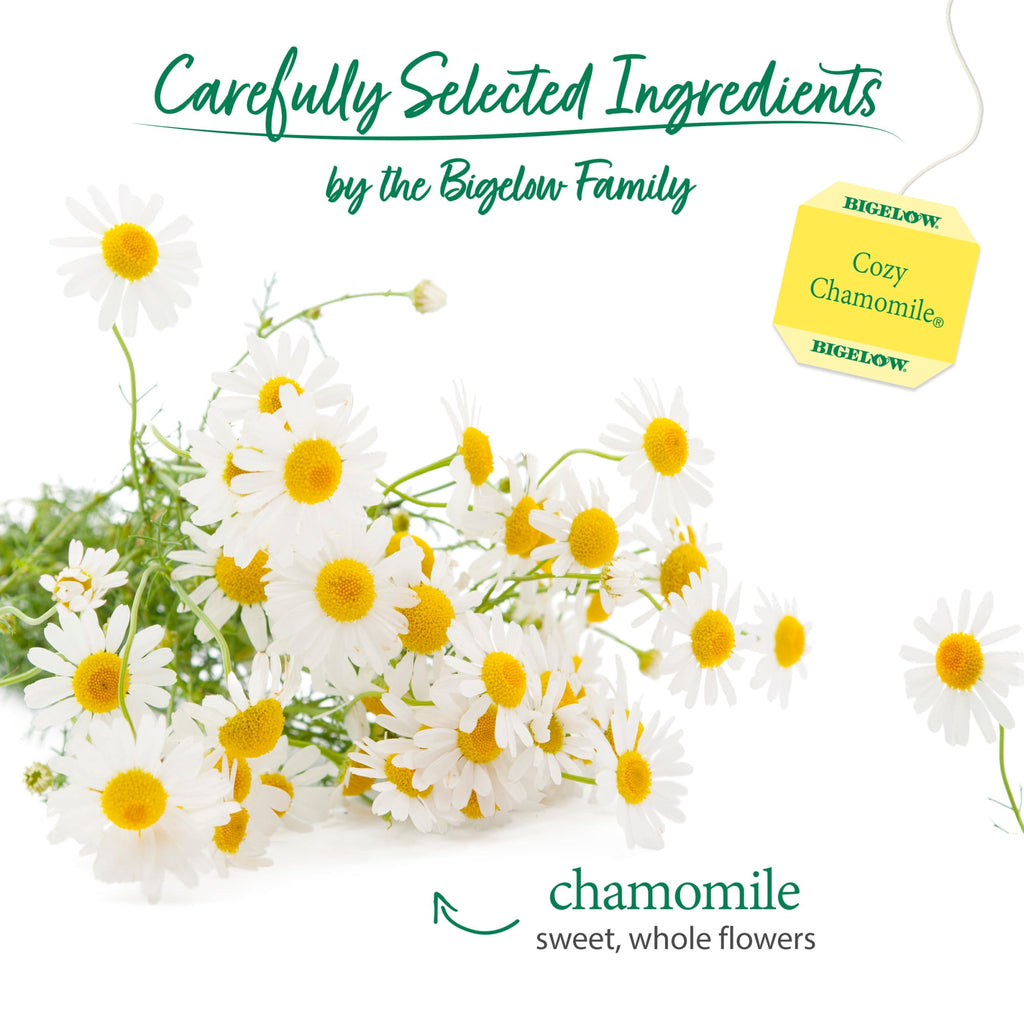 Bigelow Cozy Chamomile Herbal Tea Bags Caffeine Free 20 Count