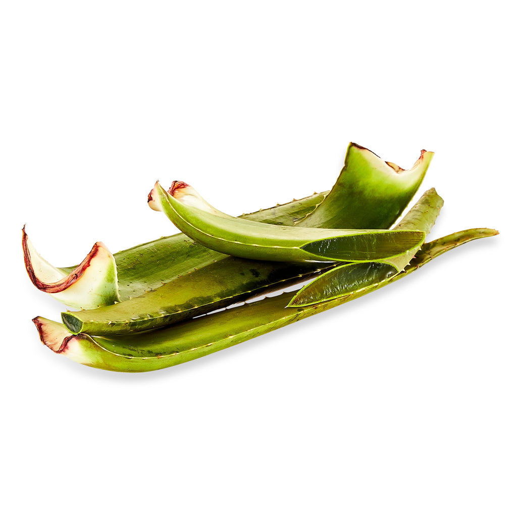 Fresh Aloe Leaf Each
