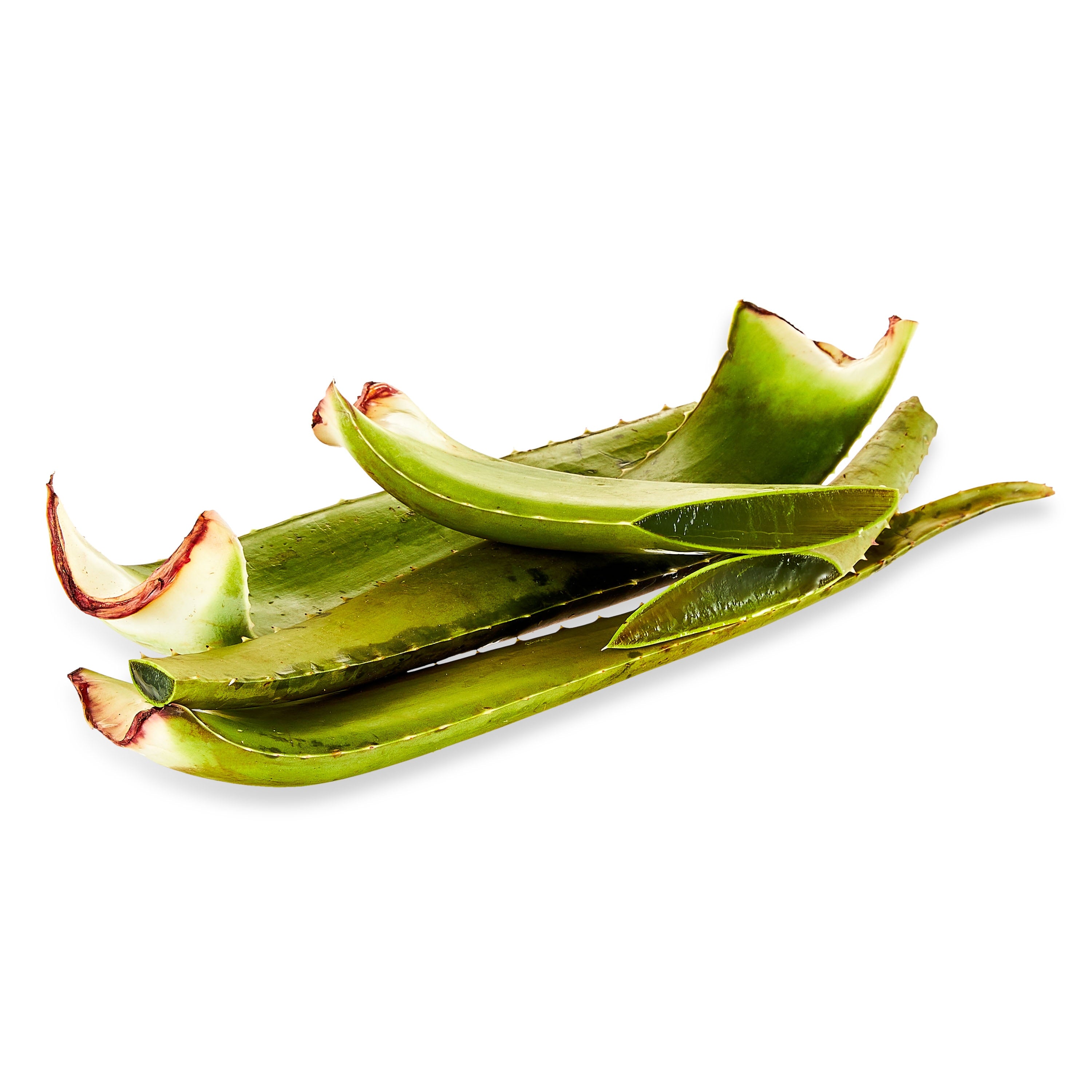 Fresh Aloe Leaf Each