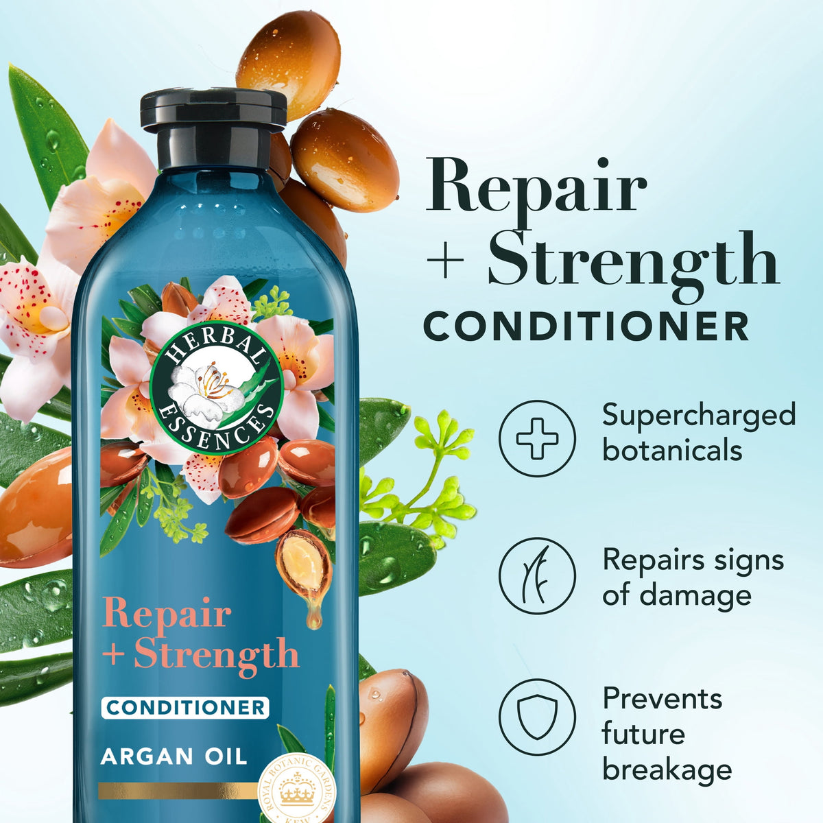 Herbal Essences Repair + Strength Argan Oil Conditioner 13.5 fl oz