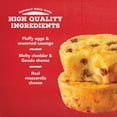 Jimmy Dean Sausage Three Cheese Egg Bites Frozen 4 Oz 2 Count