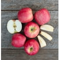 Fresh Pink Lady Apples Each