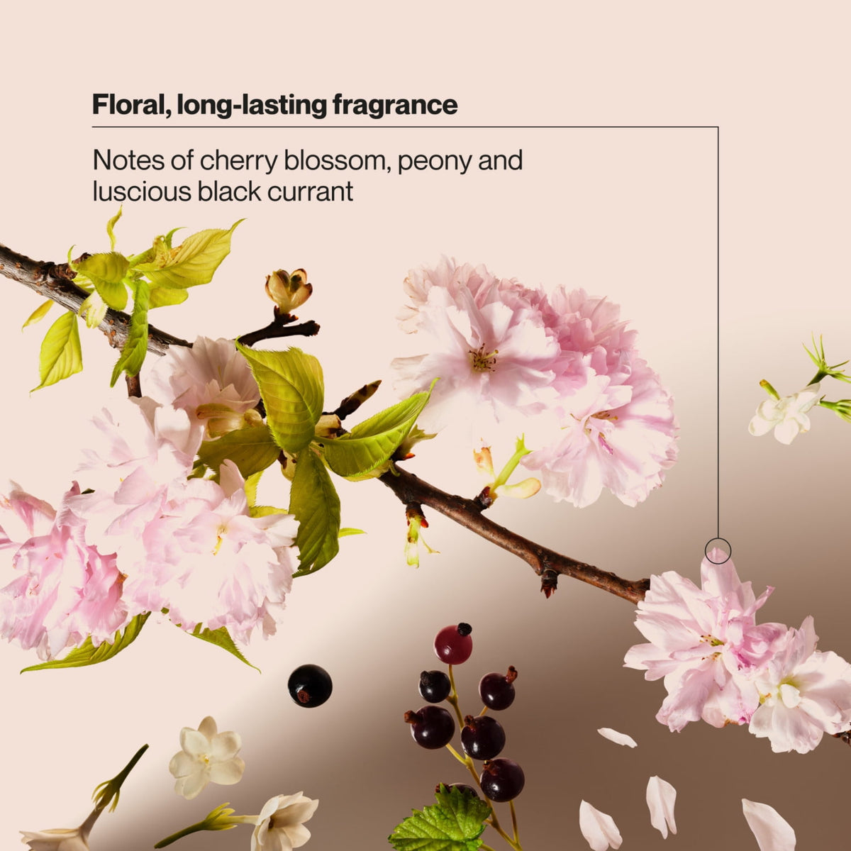 Suave Wild Cherry Blossom Softening Shampoo with Cherry Blossom Extract & Vitamin E 22.5 fl oz
