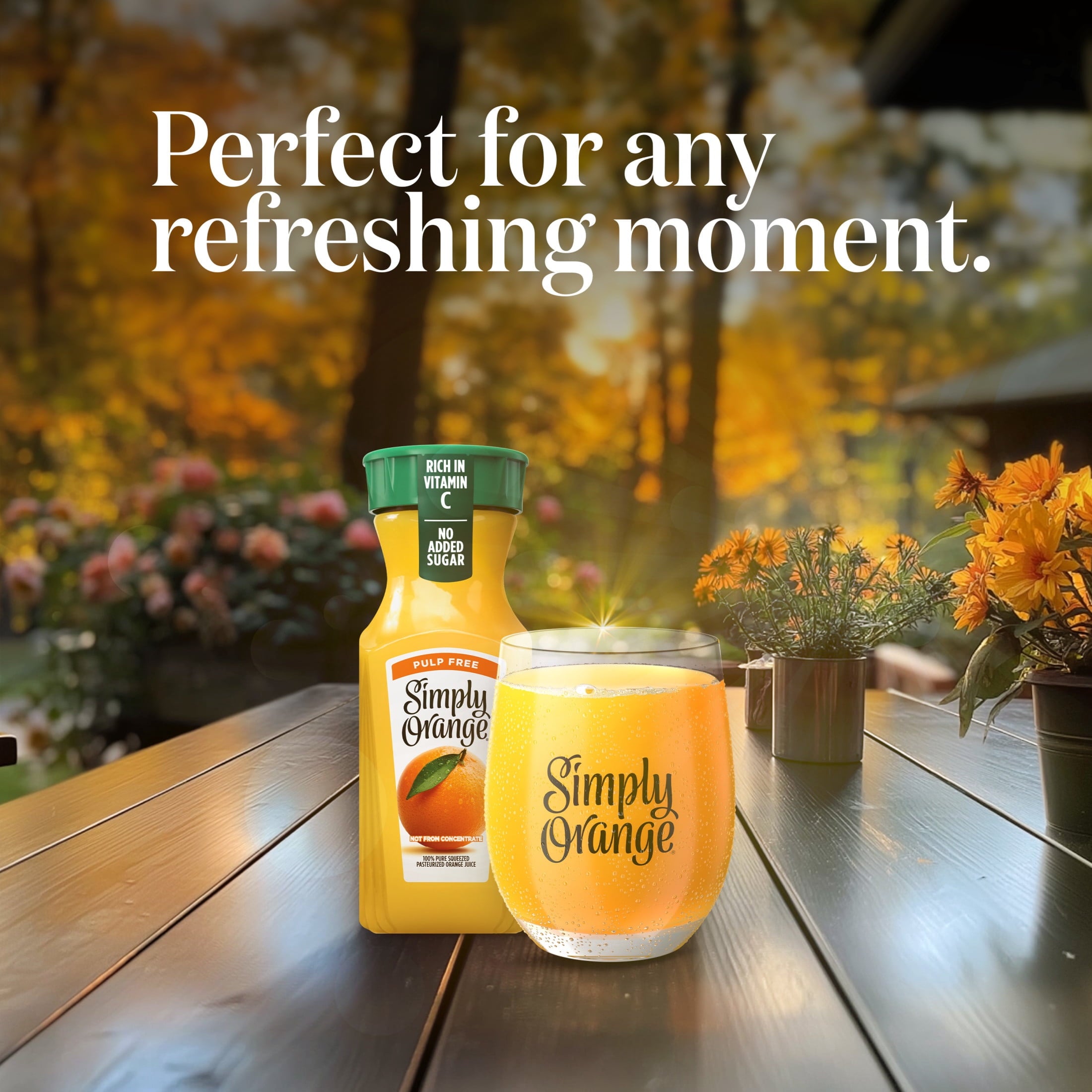 Simply Orange Pulp-Free Orange Juice 8 fl oz 4 Pack