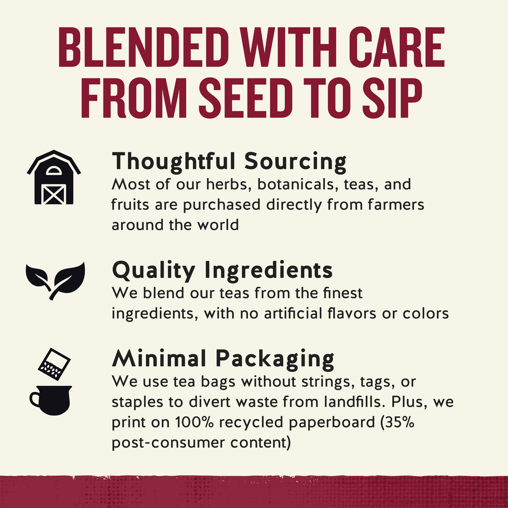 Celestial Seasonings Cinnamon Apple Spice Caffeine-Free Herbal Tea Bags 1.7 oz 20 Count