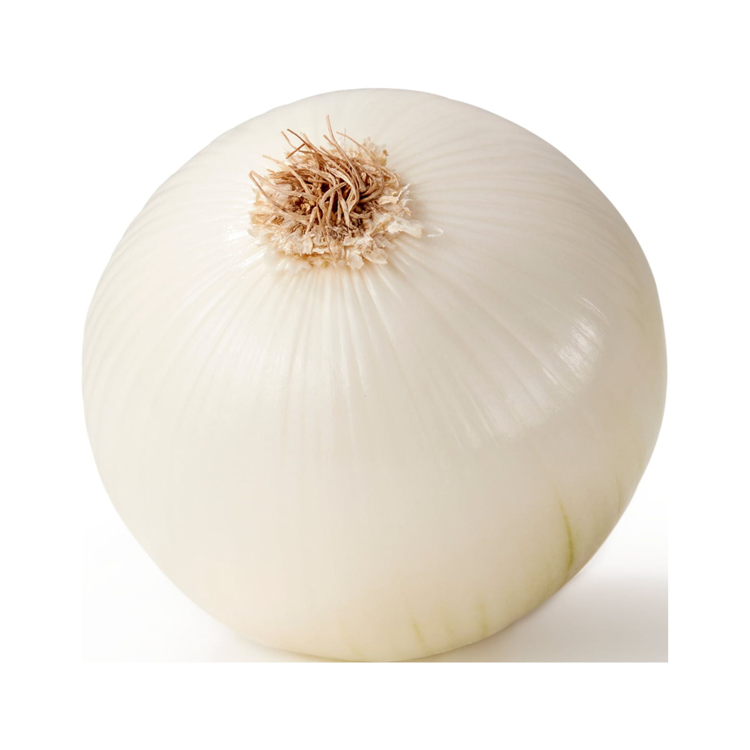 Fresh Whole White Onions Each 1 Lb