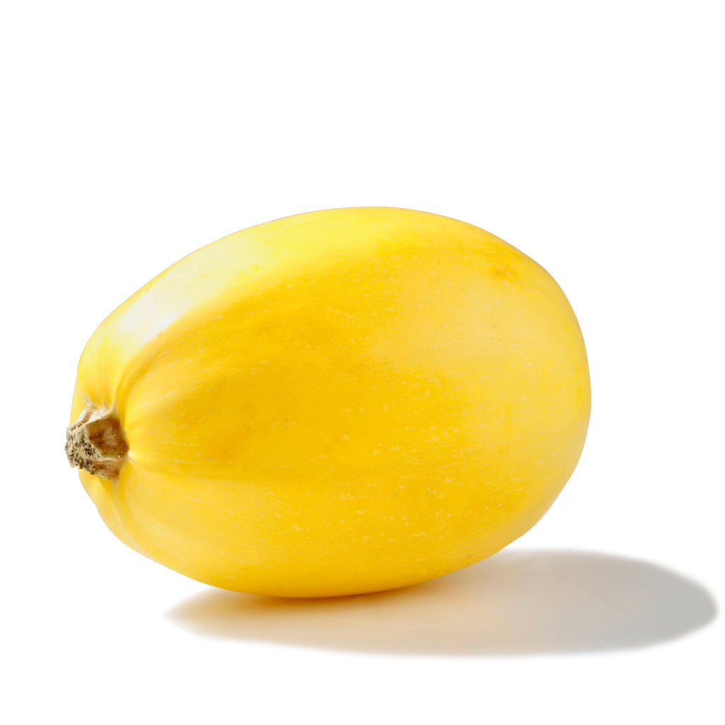 Fresh Spaghetti Squash Each