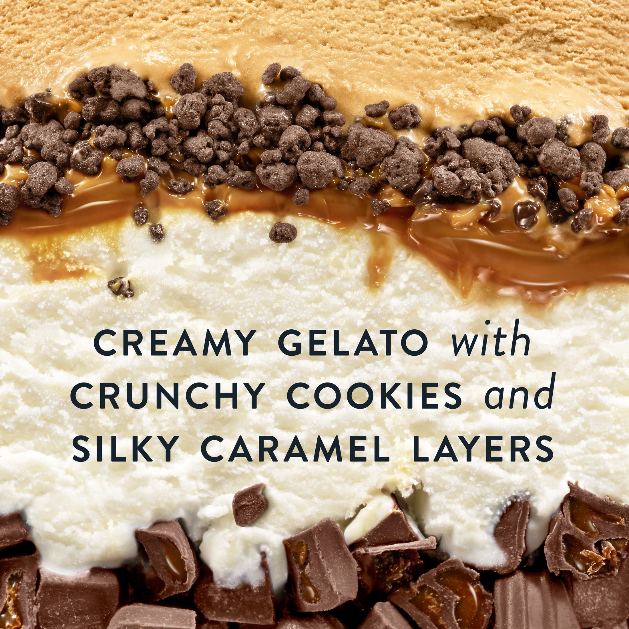 Talenti Gelato Layers Salted Caramel Truffle Frozen Dessert 1 Pint 11.4 Oz