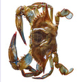 Wegmans Jumbo Softshell Crab Dressed 1 Lb