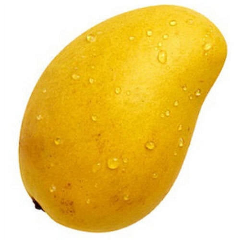 Fresh Ataulfo Mangoes Each