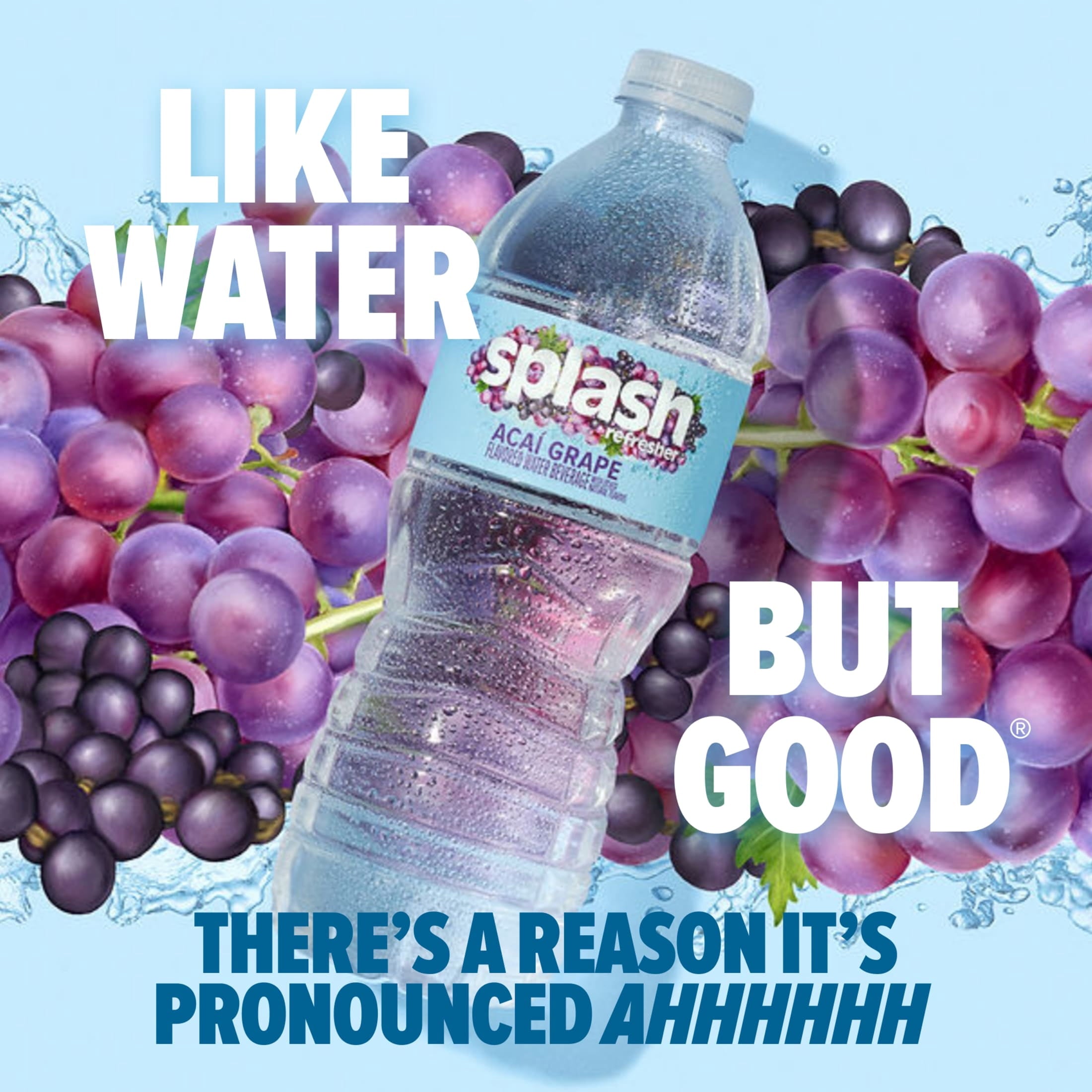 Splash Blast Acai Grape Flavored Water 16.9 fl oz Plastic Bottles 6 Pack