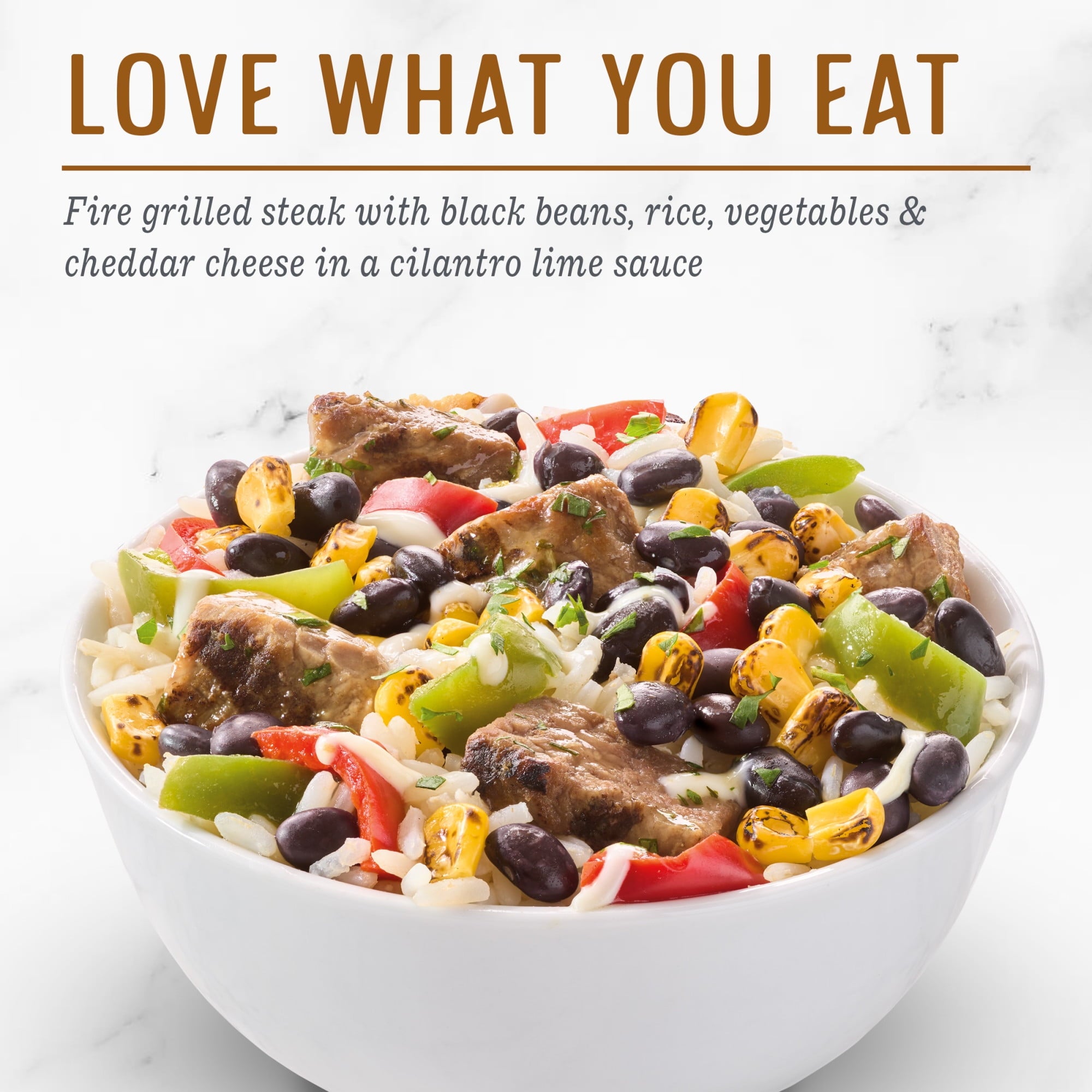 Evol Fire Grilled Steak Bowl Frozen Meal 9 Oz