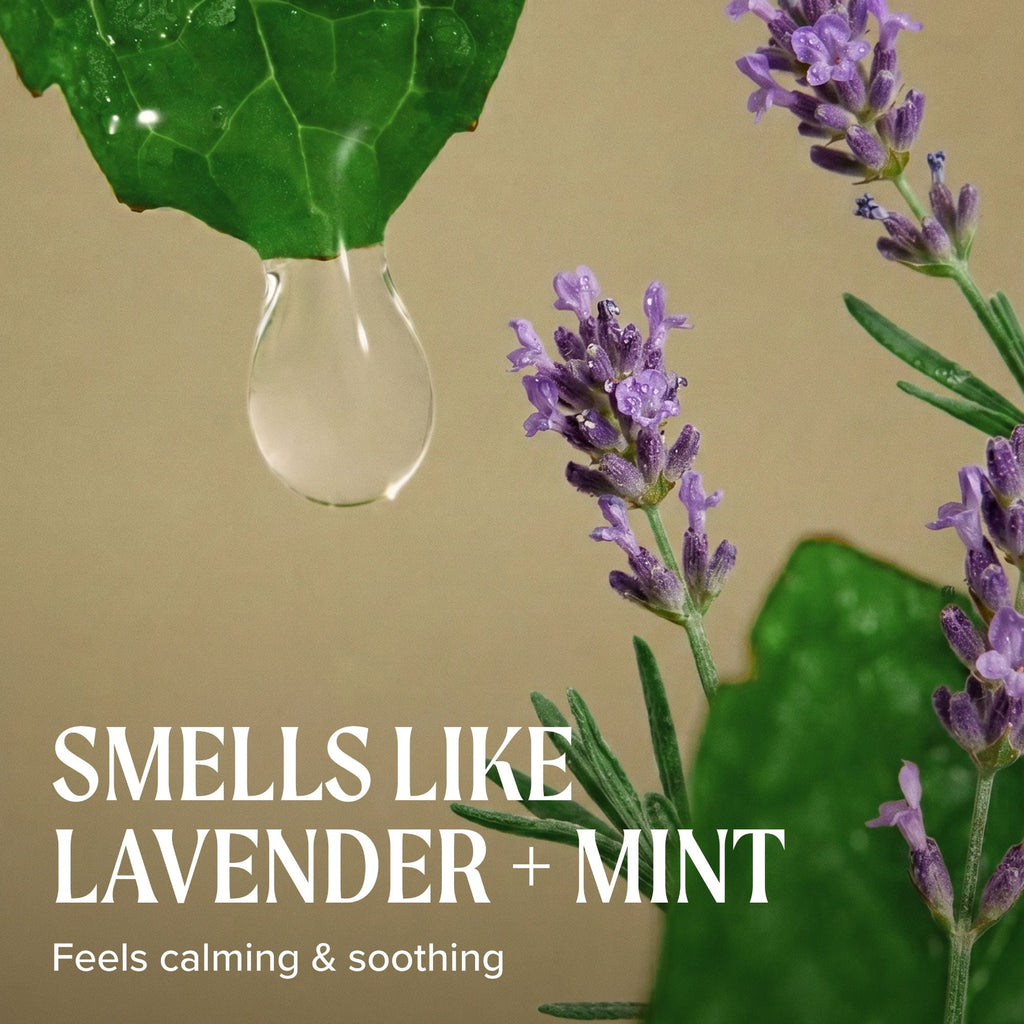Paul Mitchell Tea Tree Lavender Mint Moisturizing Shampoo Soothes Replenishes Dry Hair 10.14 oz